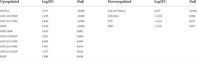 The transcriptome pattern of liver, spleen and hypothalamus provides insights into genetic and biological changes in roosters in response to castration